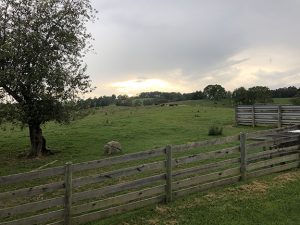 Fence and farm near Wytheville