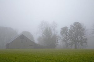 Farm in the fog