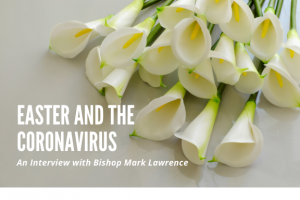 Lilies and "Easter & Coronavirus"